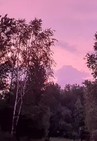 20210702_015118.webp
