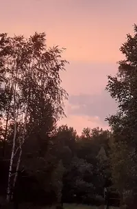 20210702_015559.webp