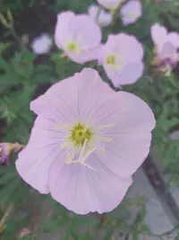 20210630_141349.webp