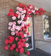 Screenshot_20210703-152438_Gallery.webp