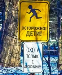e47383af5479789cfff9b295872db79f.webp