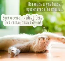 6a34d7eabef09484918891b8f3101877.webp
