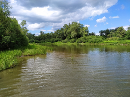 IMG_20210704_140158_resize_43.webp