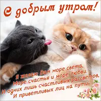 utro2.webp