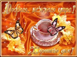 IMG-20210703-WA0000.webp
