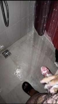 IMG_20210705_080556.webp