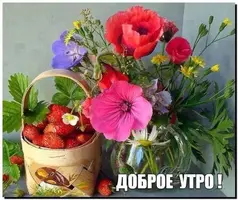 IMG-20210705-WA0002.webp