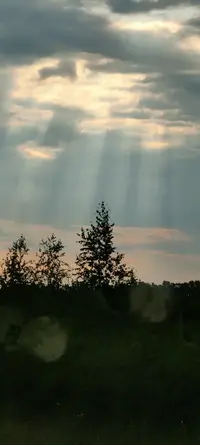 IMG20210704061851.webp