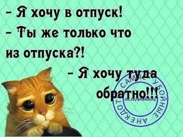 91817b6592ff7528750adf0bf5506b44.webp