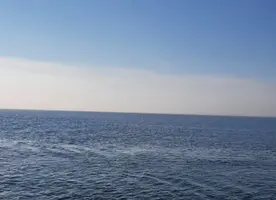 Screenshot_20210705-215609_Gallery.webp