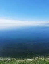 Screenshot_20210705-215818_Gallery.webp