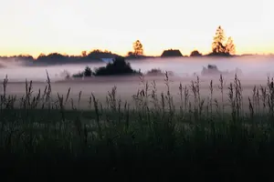 0D6B6633-0A09-4C0E-8B79-B2A44610F0AA.webp