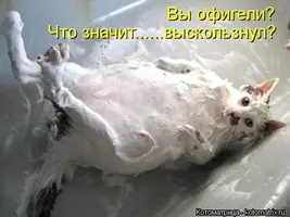 unnamed.webp