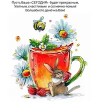 IMG_20210706_064151_917.webp