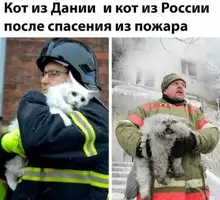 4dc9e9bc301d20dfe7a12b89d896a95e.webp