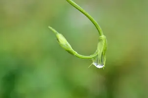 _DSC0038.webp
