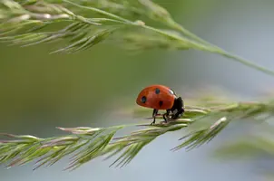 _DSC0066-1.webp