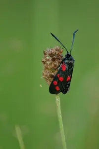 _DSC0107.webp