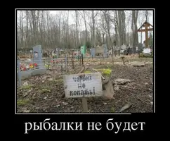 97efed251015064a95c8c7b3bc140e7d.webp