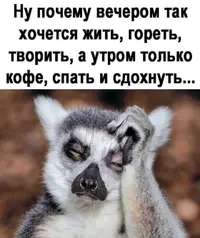 RyIZpedBCCE.webp