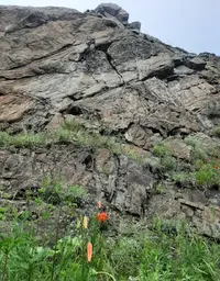 Screenshot_20210707-200208_Gallery.webp