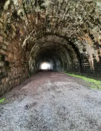Screenshot_20210707-200131_Gallery.webp