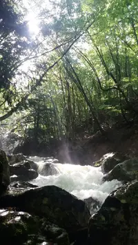 VSPpXj5hzWU.webp