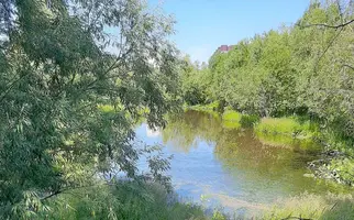 20210708_153209.webp