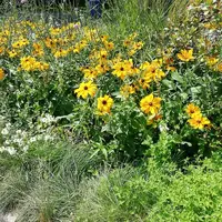 IMG_20210708_120732.webp