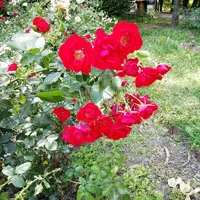 IMG_20210708_125330.webp