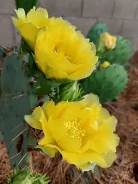 20210708_144546.webp