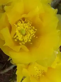 20210708_144607.webp