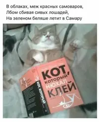 7e73cc76b421d9fe841b977cd4a12443.webp
