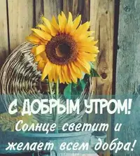 IMG-c76245740a776f98317471ae10984f5a-V.webp