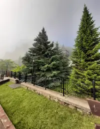Screenshot_20210709-150502_Gallery.webp