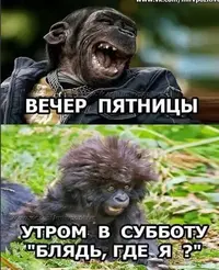 12114596.webp