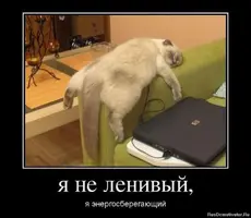 f8049a87de30698d7e9e650f42b85914.webp