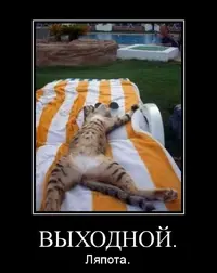 0b19ca8cdf9872bf34234fc372957a527e3f0ca9.webp