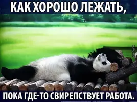 post-22948-0-42934300-1434135697.webp