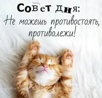 d768419de1931b77a544ad078c2a71f3.webp