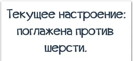 4B5B7149-FB99-423C-8594-B2609C7B0867.webp