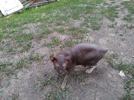 IMG_20210710_184109_resize_21.webp