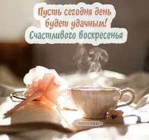 fca0935a4e713394dd7a3b81bffa6bb5.webp