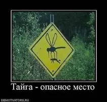 d2af26bc35ccd5a5c8f2fb769d065cd7.webp