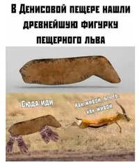 8af037a2936c6a015a9f32a3fe2a4f85.webp