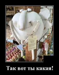 066f843608480b0adaa7e43588242bc4.webp