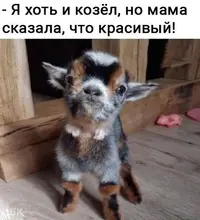 hjlkXDiQwIo.webp