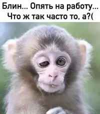 bb73cf28be64b316da4ad1074b0b4236~2.webp