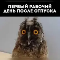 a80bd88f97c985d977e36789fde9471b.webp