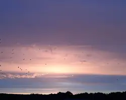 20210713_211346.webp